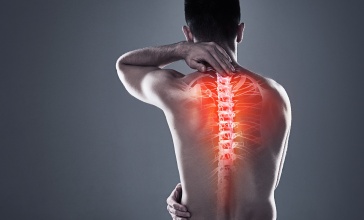 תמונת נושא מאמר