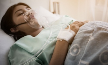 תמונת נושא מאמר