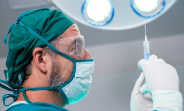 תמונת נושא מאמר