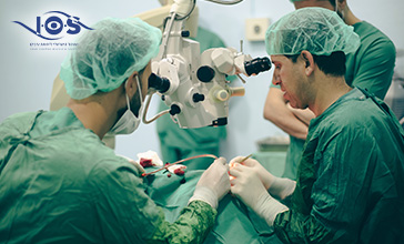 תמונת נושא מאמר