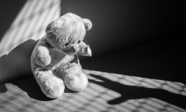 תמונת נושא מאמר