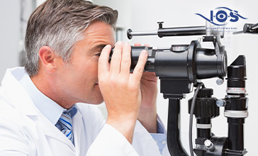 תמונת נושא מאמר