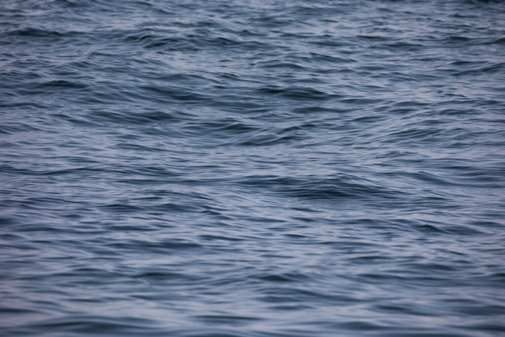 תמונת נושא מאמר