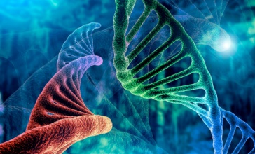 תמונת נושא מאמר