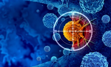 תמונת נושא מאמר