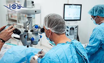 תמונת נושא מאמר