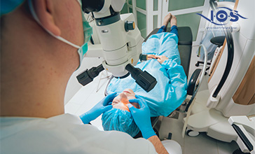 תמונת נושא מאמר