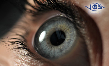 תמונת נושא מאמר