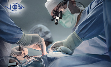 תמונת נושא מאמר